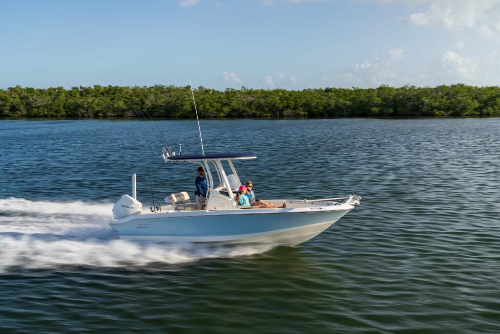 2024 Boston Whaler 220 Dauntless