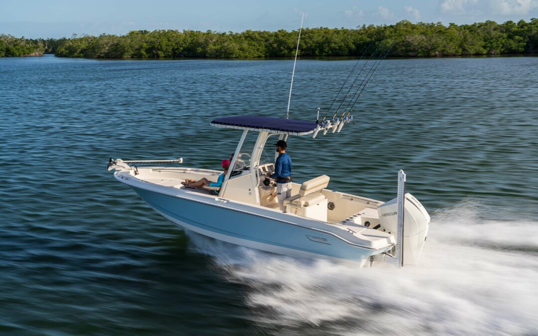 2025 Boston Whaler 220 Dauntless