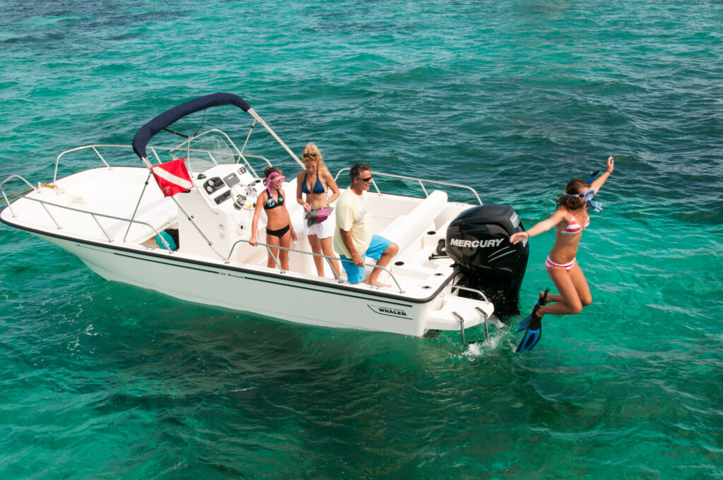 2024 Boston Whaler 21 Montauk